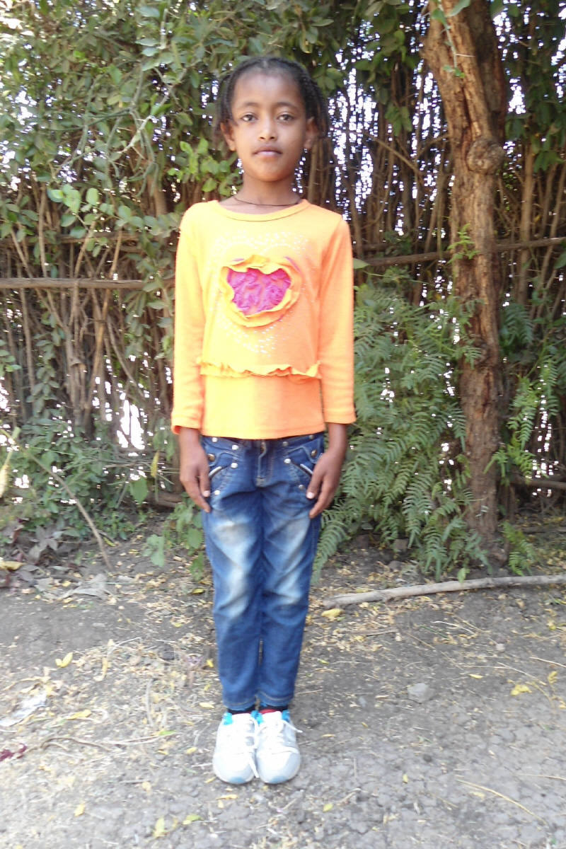Ayalnesh